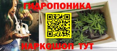 бошки Донской