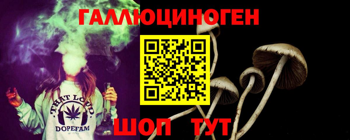 Галлюциногенные грибы мицелий  Галлюциногенные грибы мухоморы  Вход с VPN  Егорьевск 
